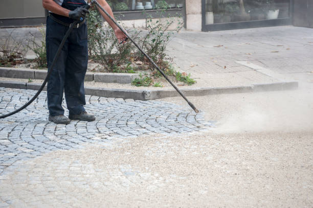 Best Spring Cleaning  in Flora, IL